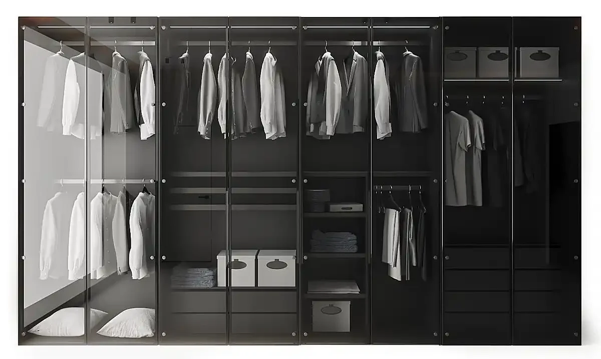 Modern Black Frame Wardrobe with Glass Doors and Multiple Storage Compartments